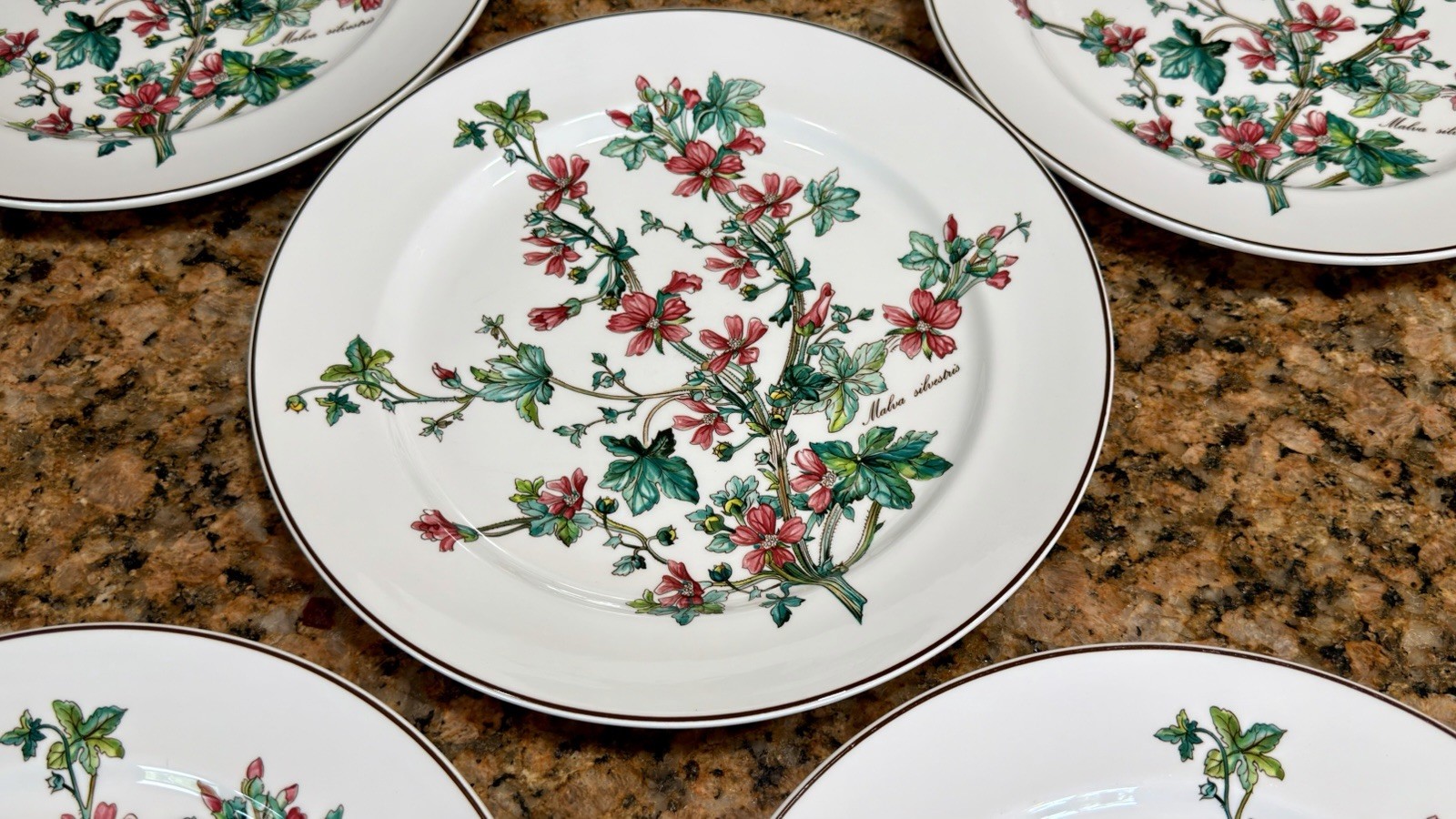 VTG Villeroy Boch Botanica Malva Silvestris 6 Dinner Plates 10-3/8 Luxembourg