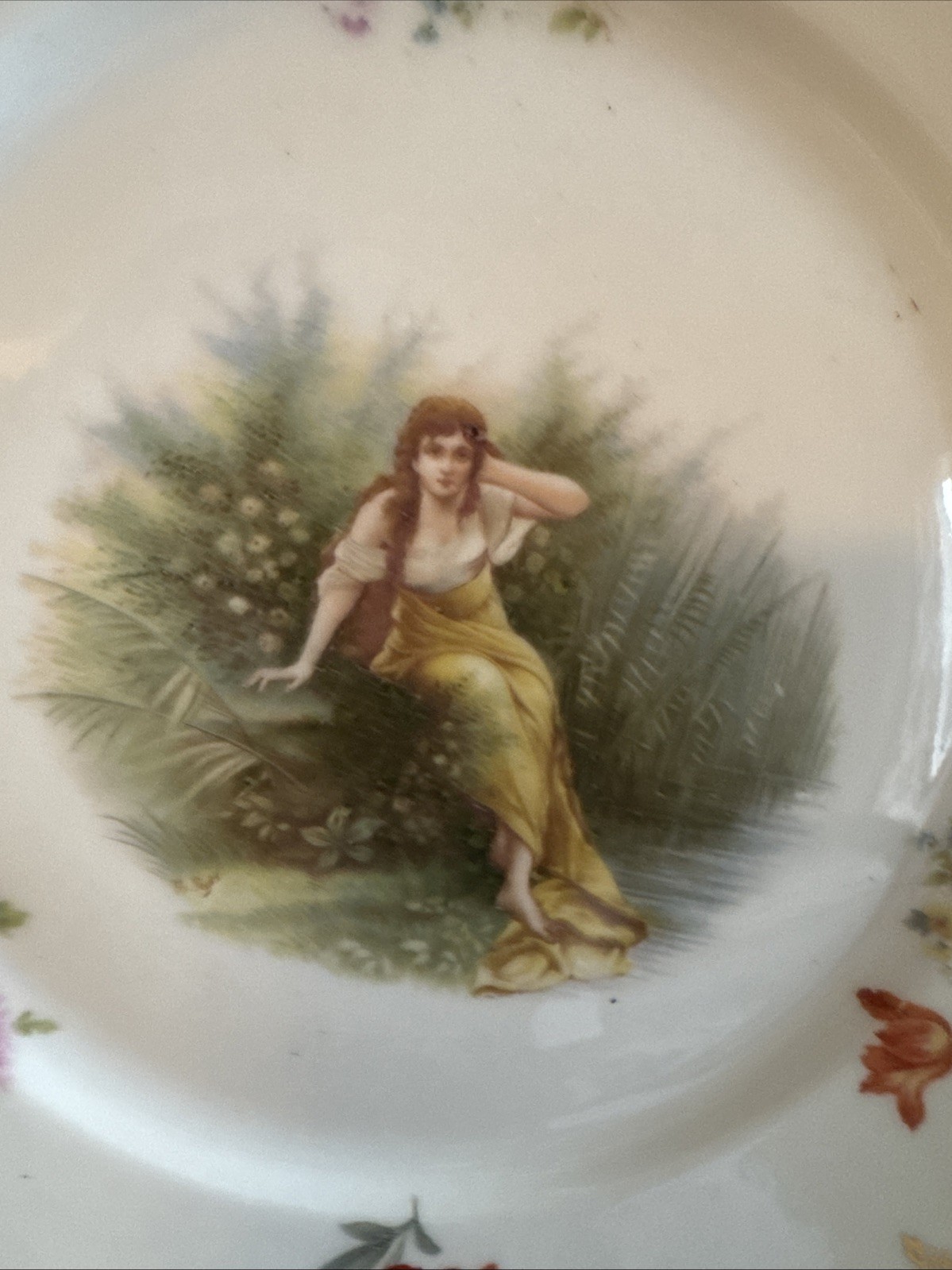 rosenthal porcelain Decorative Dinner Plates