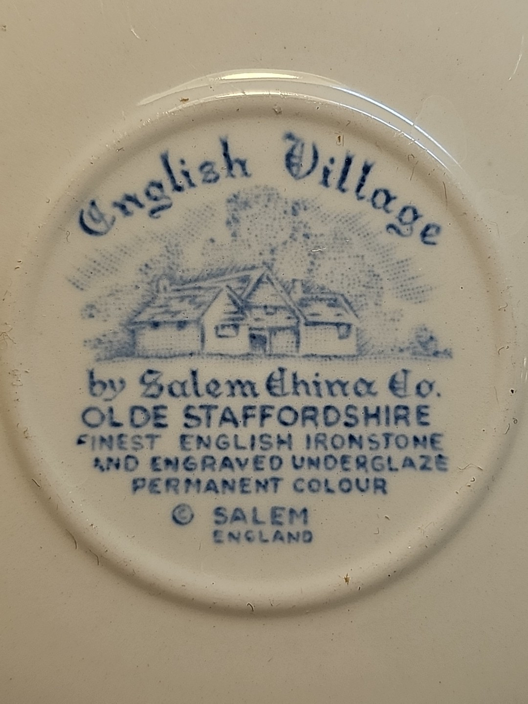 Vtg English Village By Salem China Co. Olde Staffordshire Ironstone Cup & Saucer
