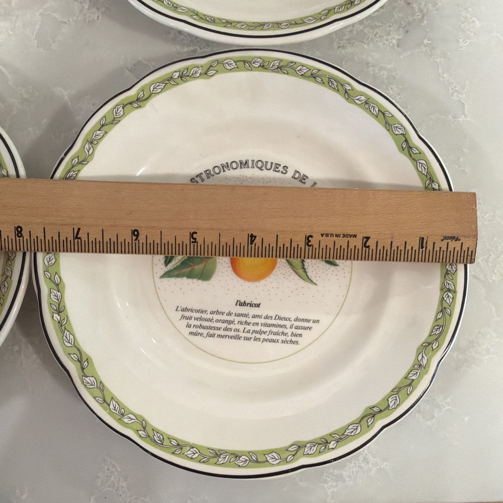 6 VTG Gien China France Les Gastronomiques de la Sante Salad Dessert Plate Set