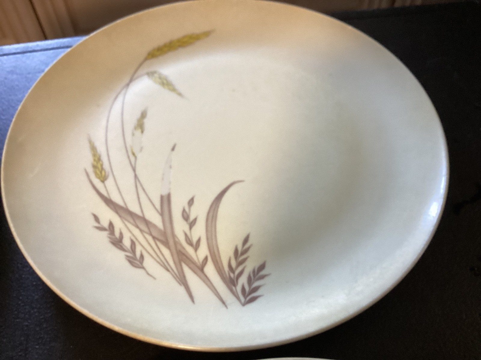 Set of (4) Wheat Pattern Plastic “Somerset” 9 7/8” Dinner Plates