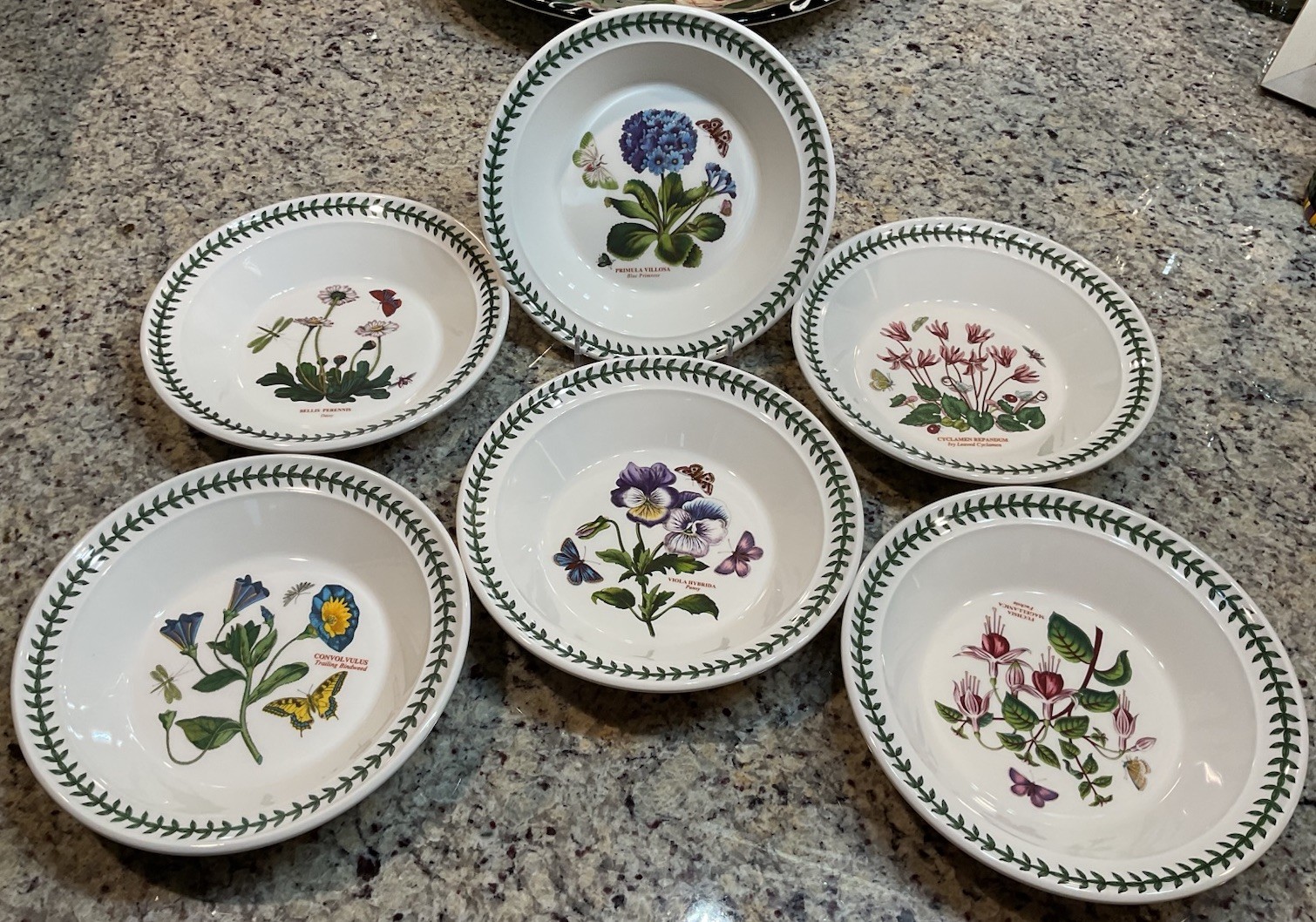 PORTMEIRION BOTANIC GARDEN (Set of 6) 8.5 in SOUP PLATE Made in England NWT