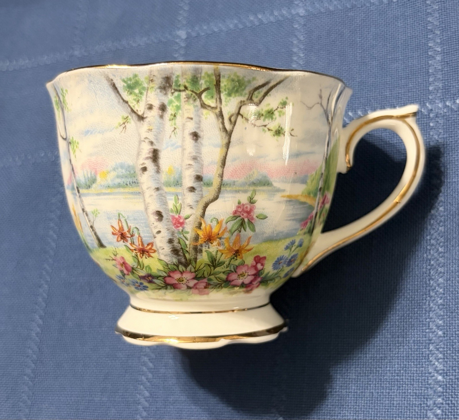 Royal Albert Silver Birch Cake Set for 6 Handled Plate C&S Cups & Saucers Plates