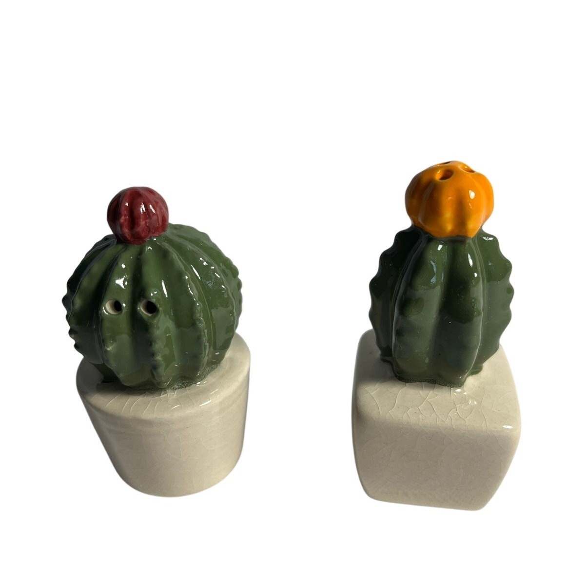 Vintage Succulents Cactus Salt & Pepper Shakers Small Pair Home Decor Western