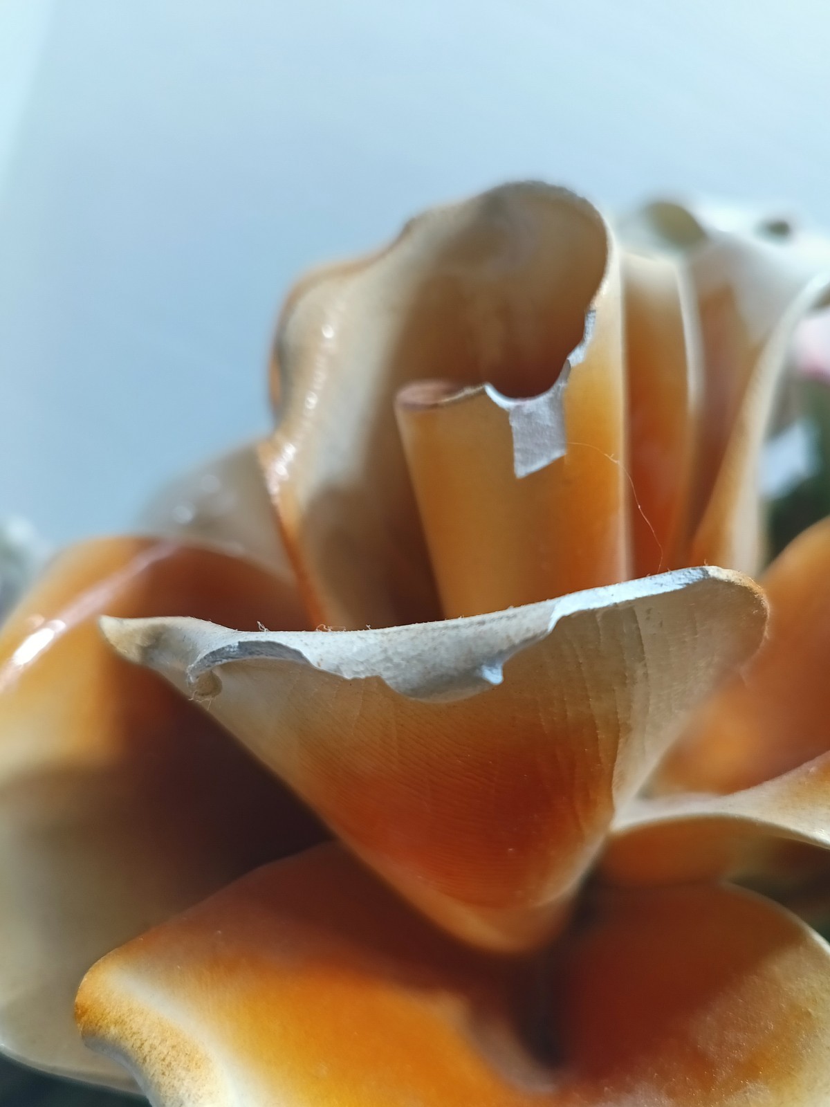 Italian XL Capodimonte Porcelain Flower Footed Floral Center Piece. Plz Read.