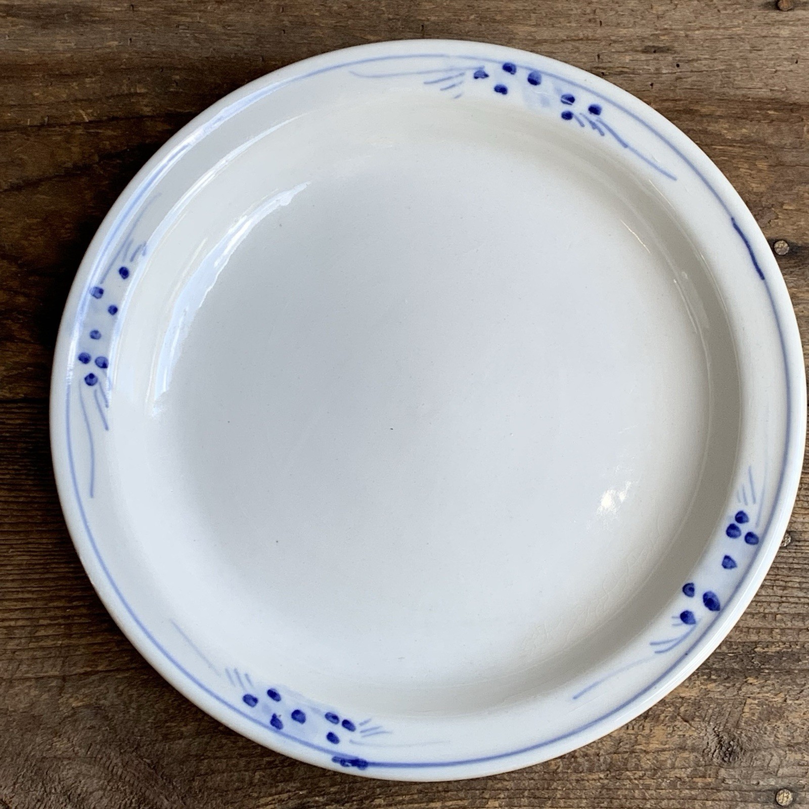 Blue White Serving Dish 10.5” Round Ceramic Earthenware