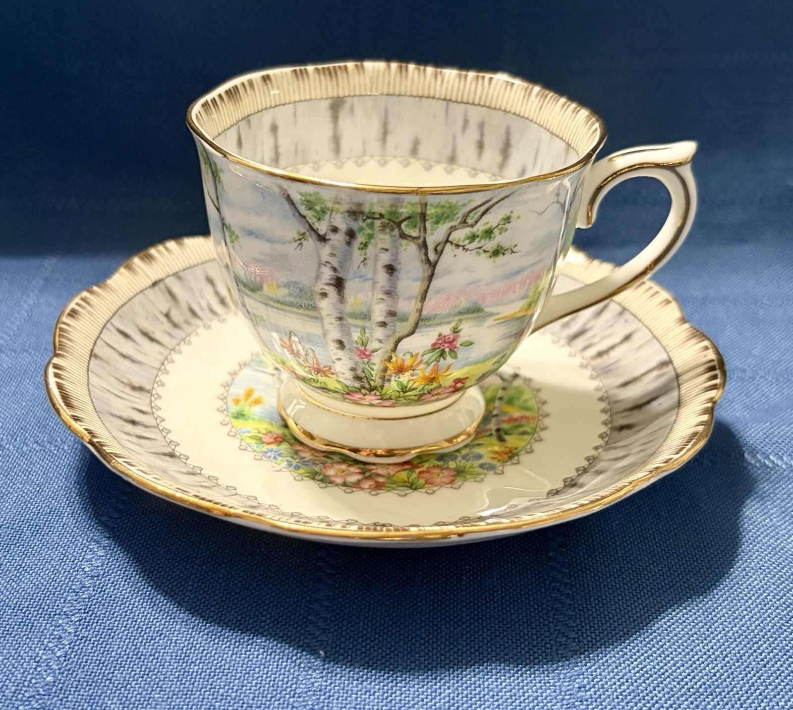 Royal Albert Silver Birch Cake Set for 6 Handled Plate C&S Cups & Saucers Plates