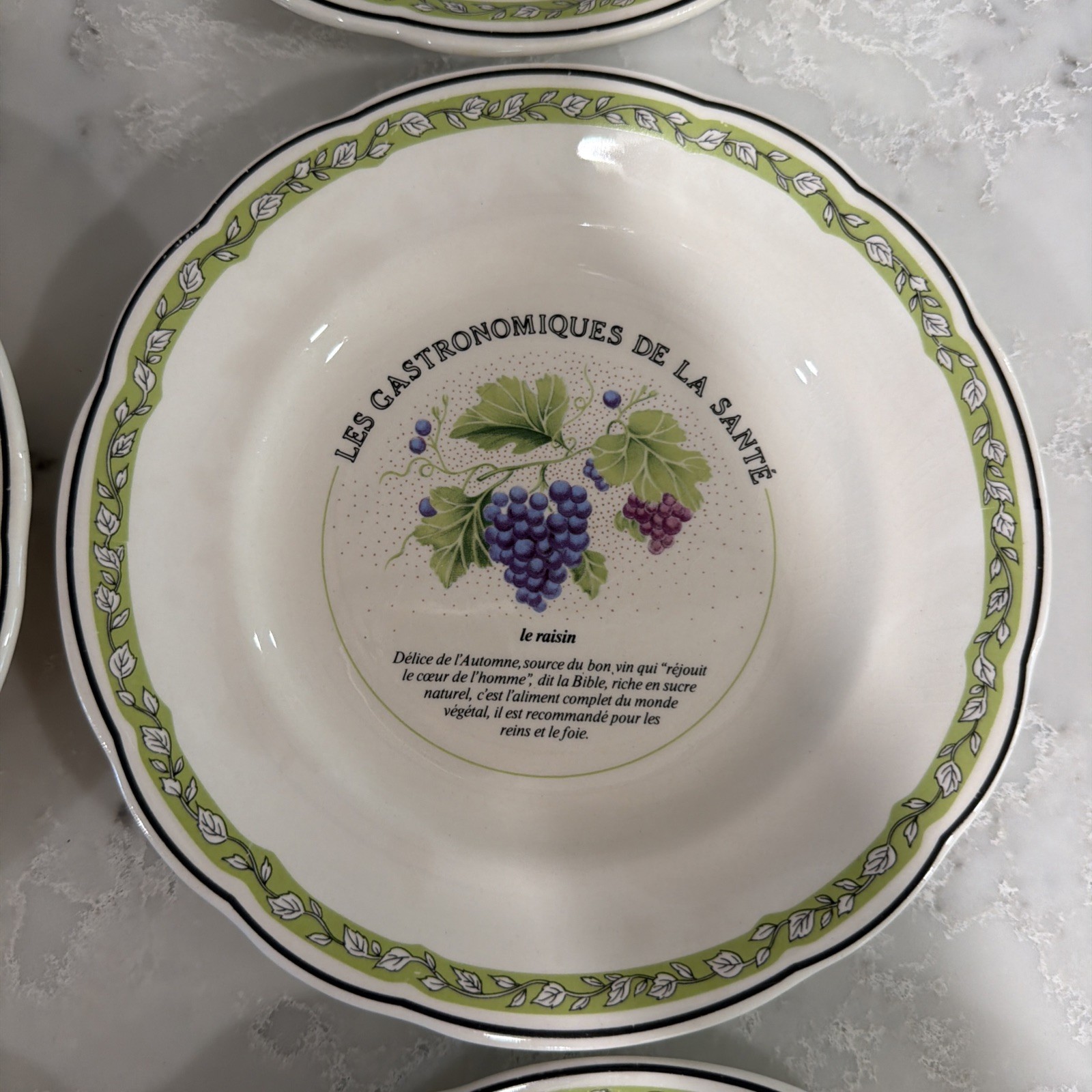 6 VTG Gien China France Les Gastronomiques de la Sante Salad Dessert Plate Set