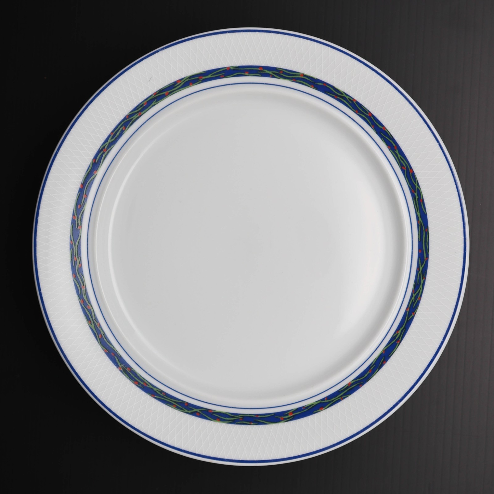(6) Vintage DANSK NEW SCANDIA Salad Plates Portugal 9″
