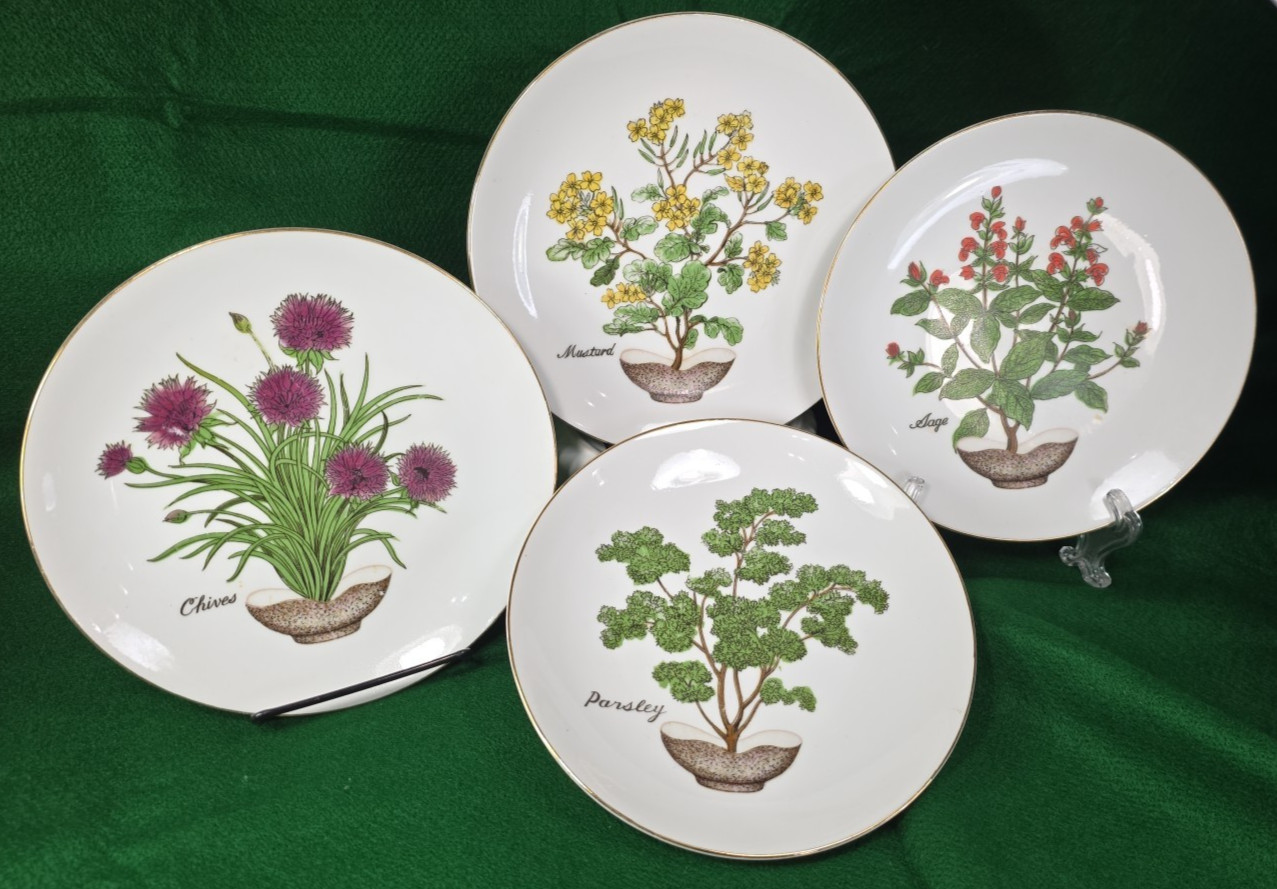 Vtg Herb Garden Wall Hanging Plates Set 4 Japan Parsley Mustard Sage Chives Deco