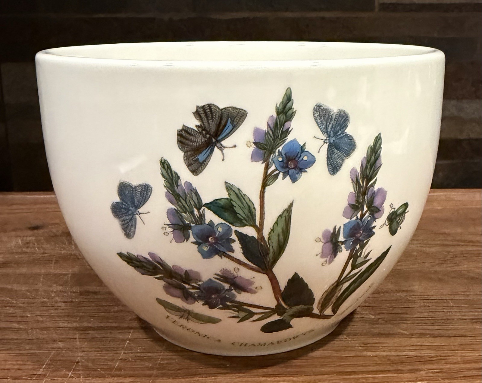 Portmeirion Botanic Garden Veronica Chamaedrys Speedwell Jumbo Coffee Tea Cup