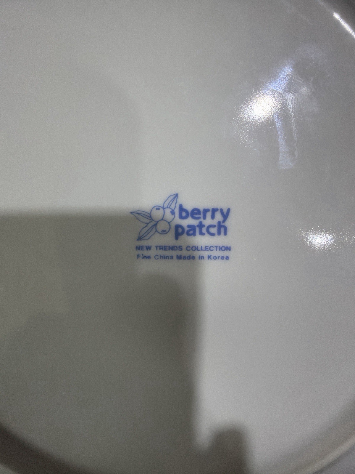 Berry Patch Plate Orange Berries Korea Floral Serving Plate