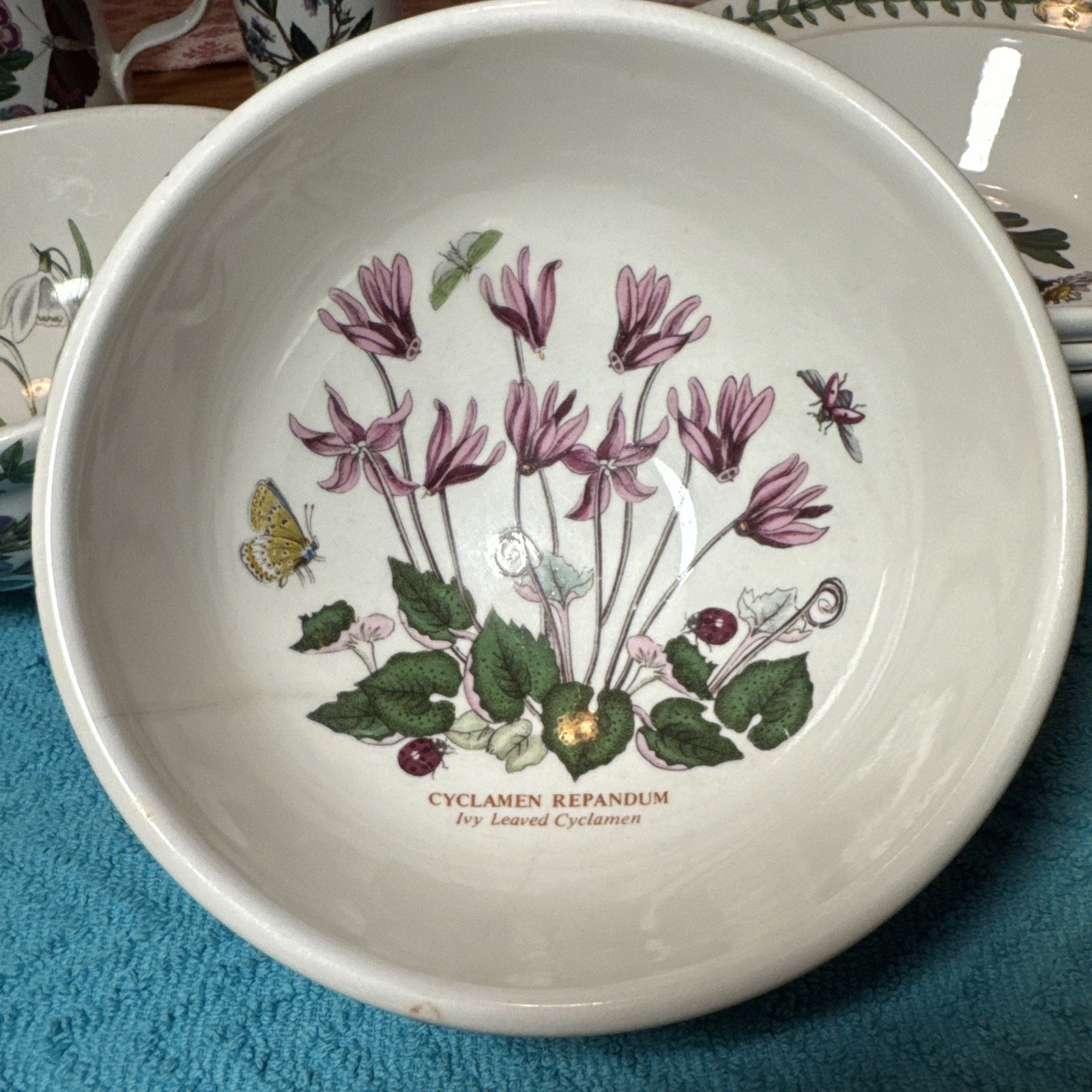Portmeirion BG Salad Desert Bowl Cyclamen Pattern 5 3/8″ . NOTE surface crack.