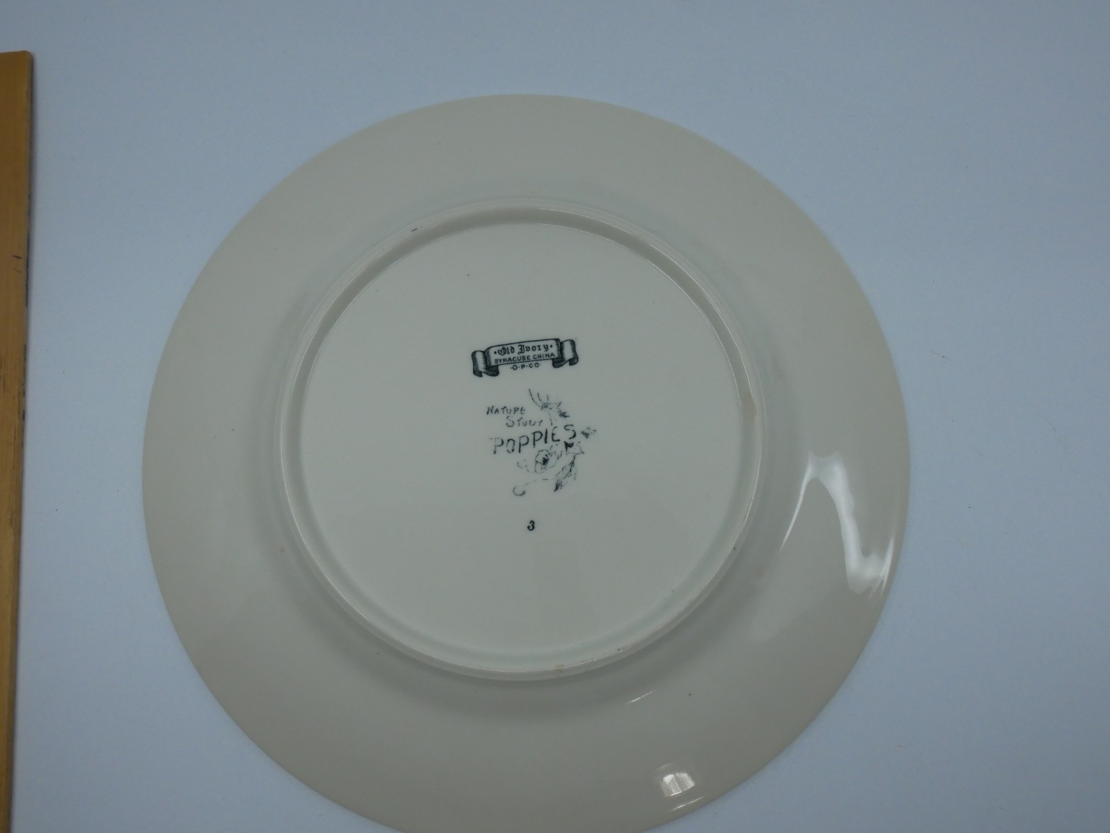 Vintage Syracuse Old Ivory Nature Study Poppies Dinner Plate #3 Black & White