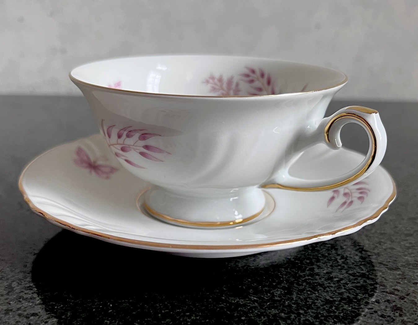 Thomas R Germany Porcelain Tea Cup, Saucer, Dessert Plate Trio Set of 5