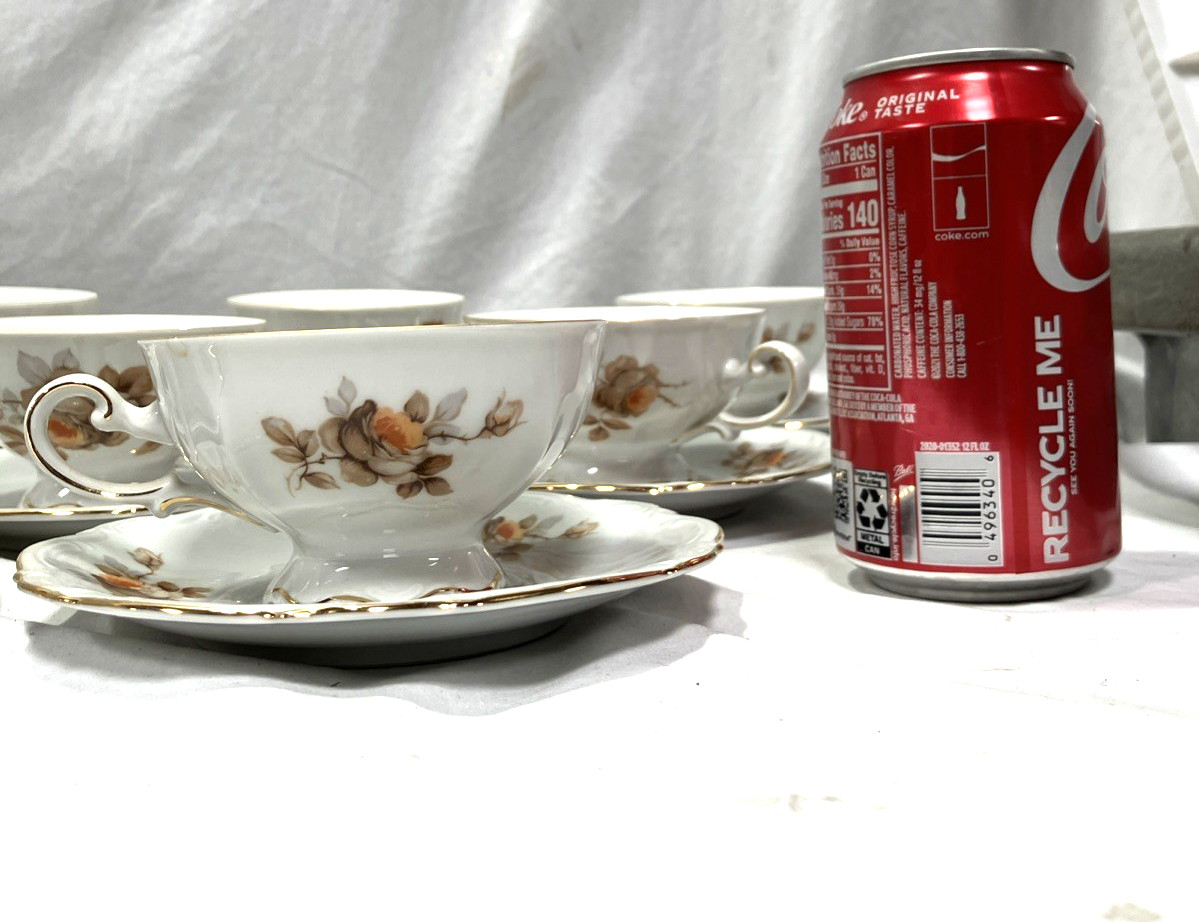 Mitterteich Bavaria Germany Norway Rose 42 Pc Porcelain Dinnerware China