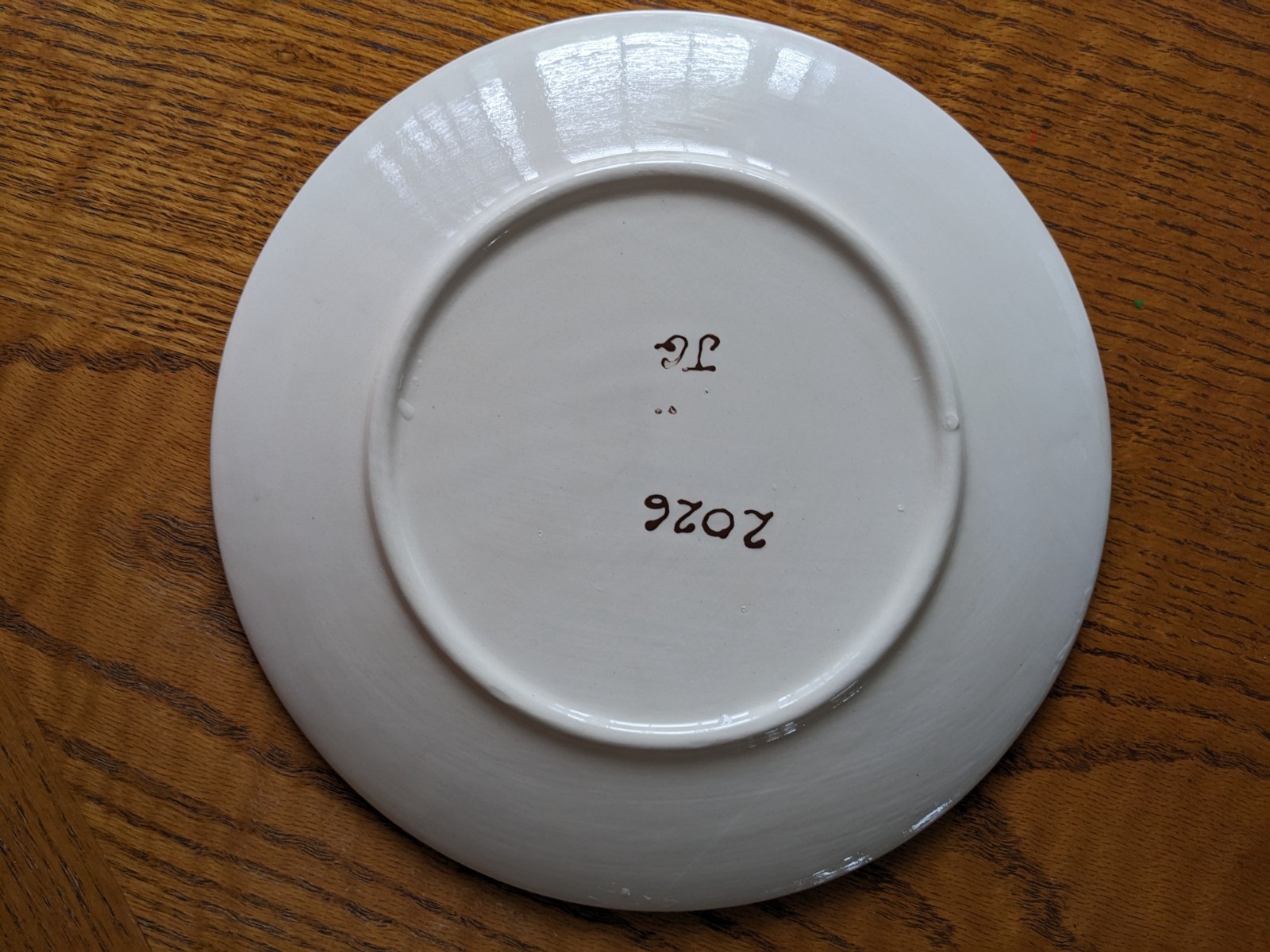 Hand-Painted Owl & Floral Art Pottery Ceramic Plate 8in Round Glossy