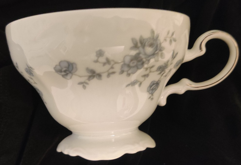 Footed Teacup And Saucer Blue Garland (Bavaria Backstamp) Johann Haviland