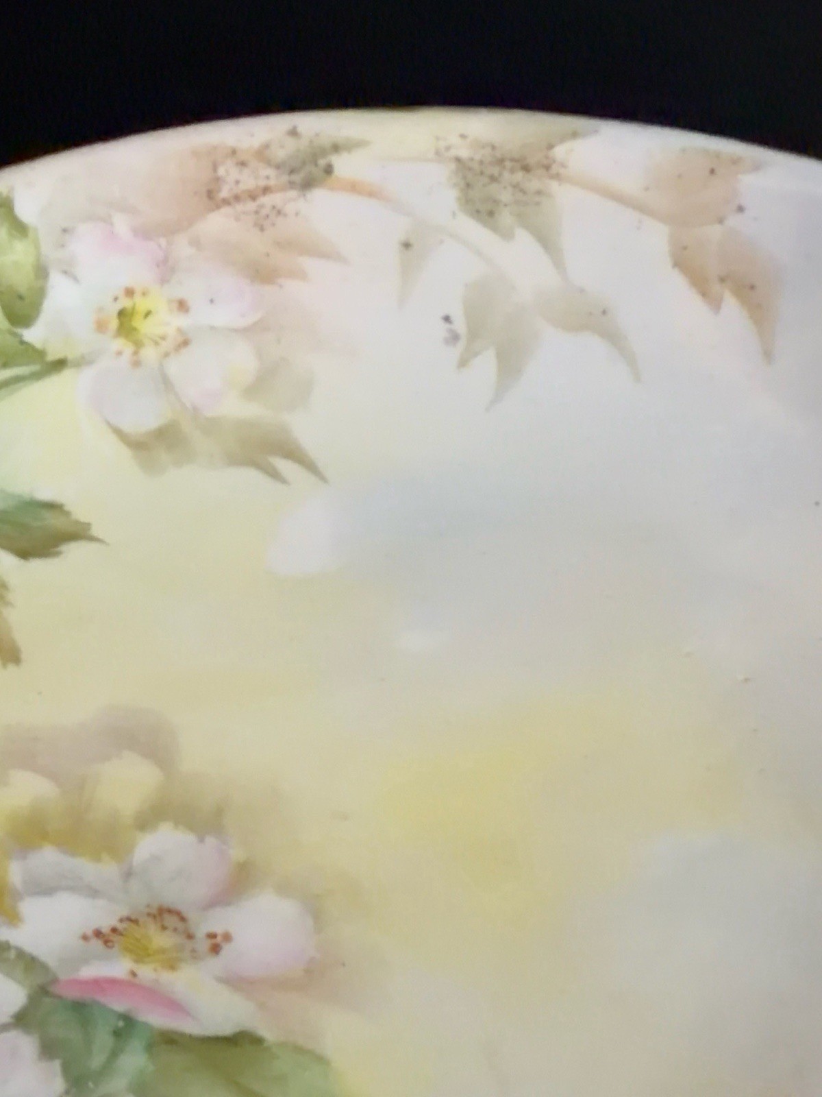 Antique Limoges Hand Painted Pedestal Compote W/ Delicate Floral + Gold Decor