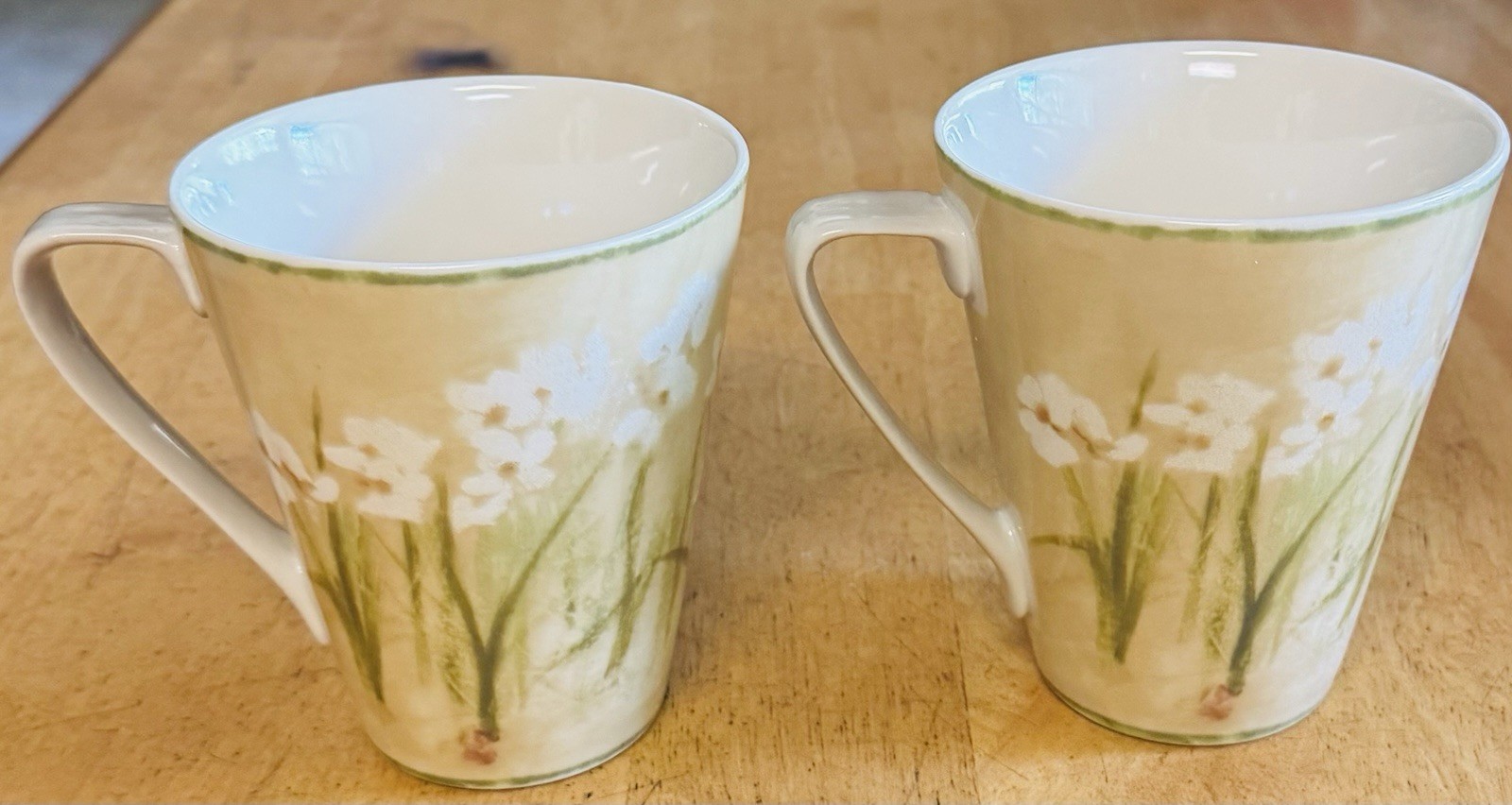 Set of 2 Cheri Blum for 222 Fifth Narcissus Coffee Cups Floral Design