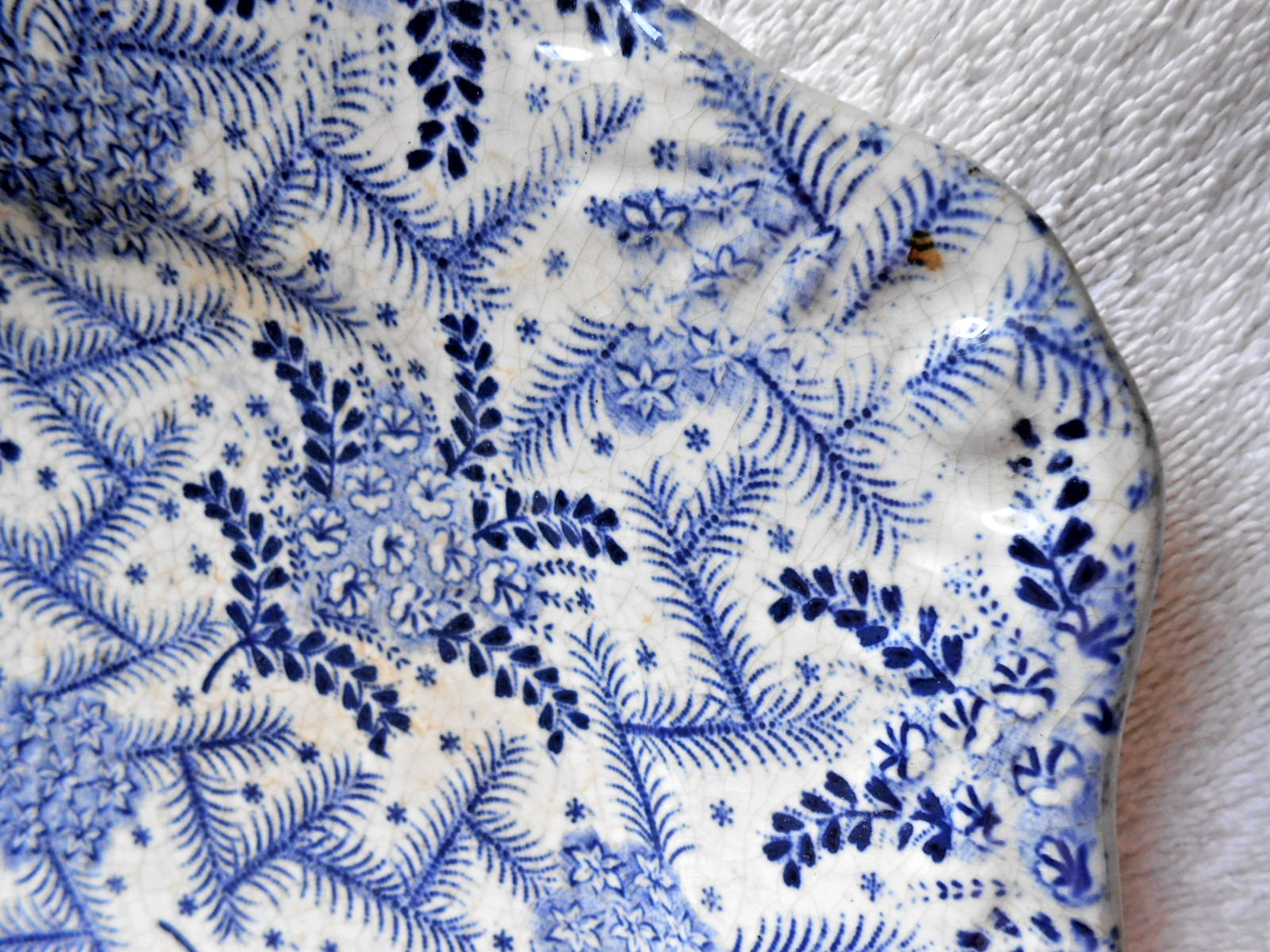 Georgian WILD ROSE Blue Transferware Platter Anti SPODE c.1830 Staff England