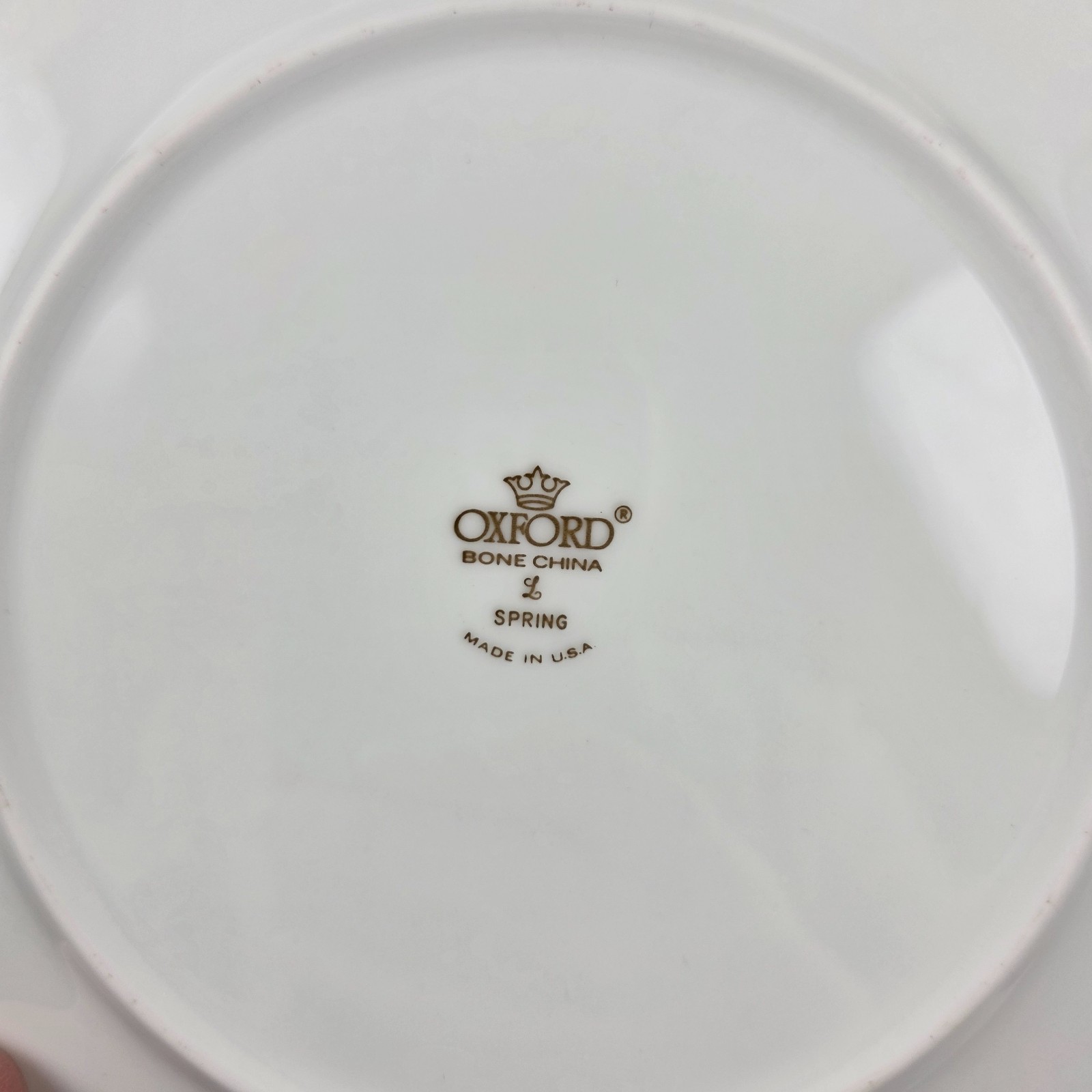 FOUR Oxford China Spring Salad Plate Multicolor Floral Rim Aqua Band