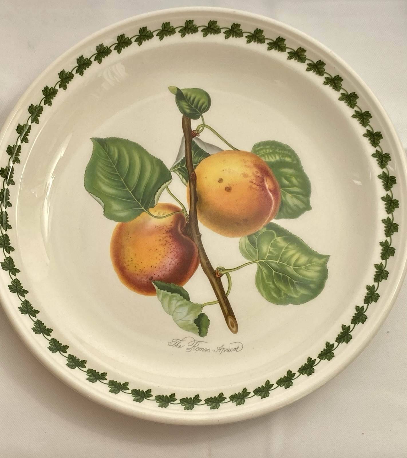 Pomona The Roman Apricot Dinner Plate By Portmeirion 10.5”
