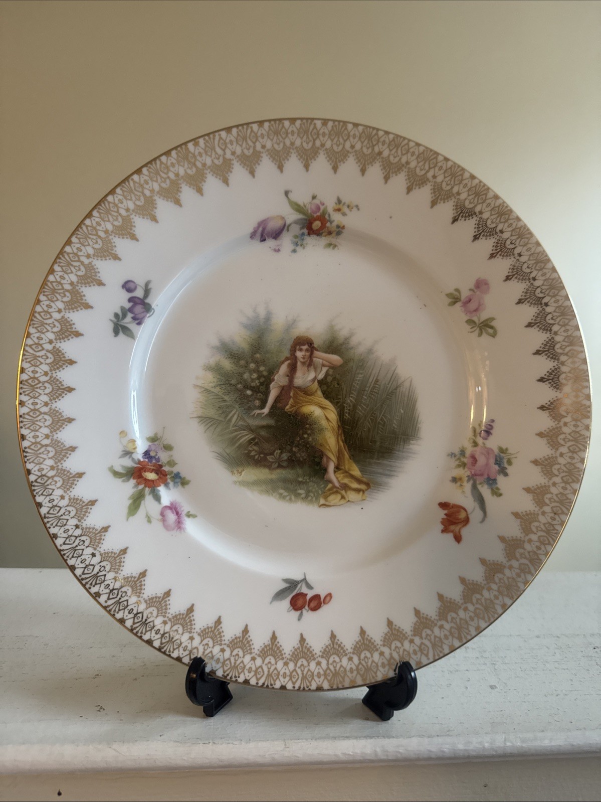 rosenthal porcelain Decorative Dinner Plates