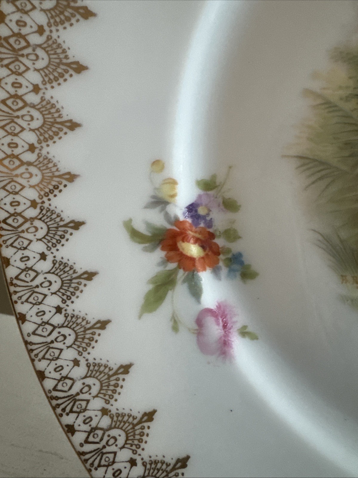 rosenthal porcelain Decorative Dinner Plates