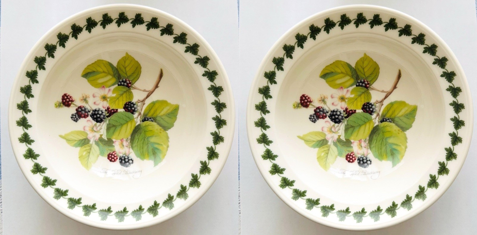 Portmeirion Pomona Set of 2 FRUIT DESSERT BOWLS 6 3/4″ Wild Blackberry