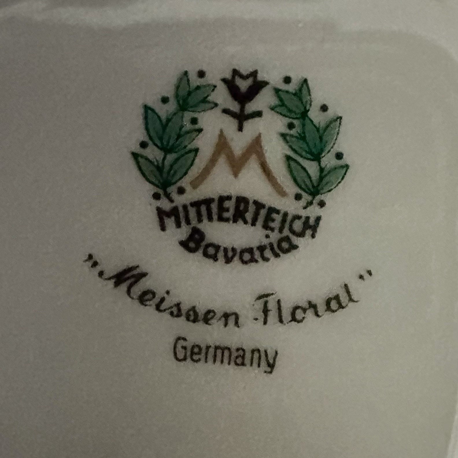 Set of 6 Vintage Mitterteich Bavaria Meissen Floral Gold Trim Dinner Plates