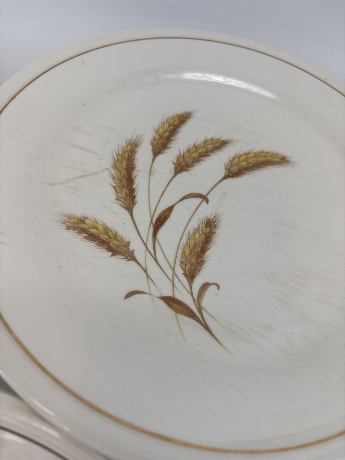 Edwin Knowles China GOLDEN WHEAT set of 6 Dinner Plates 9 7/8″ Vintage EUC