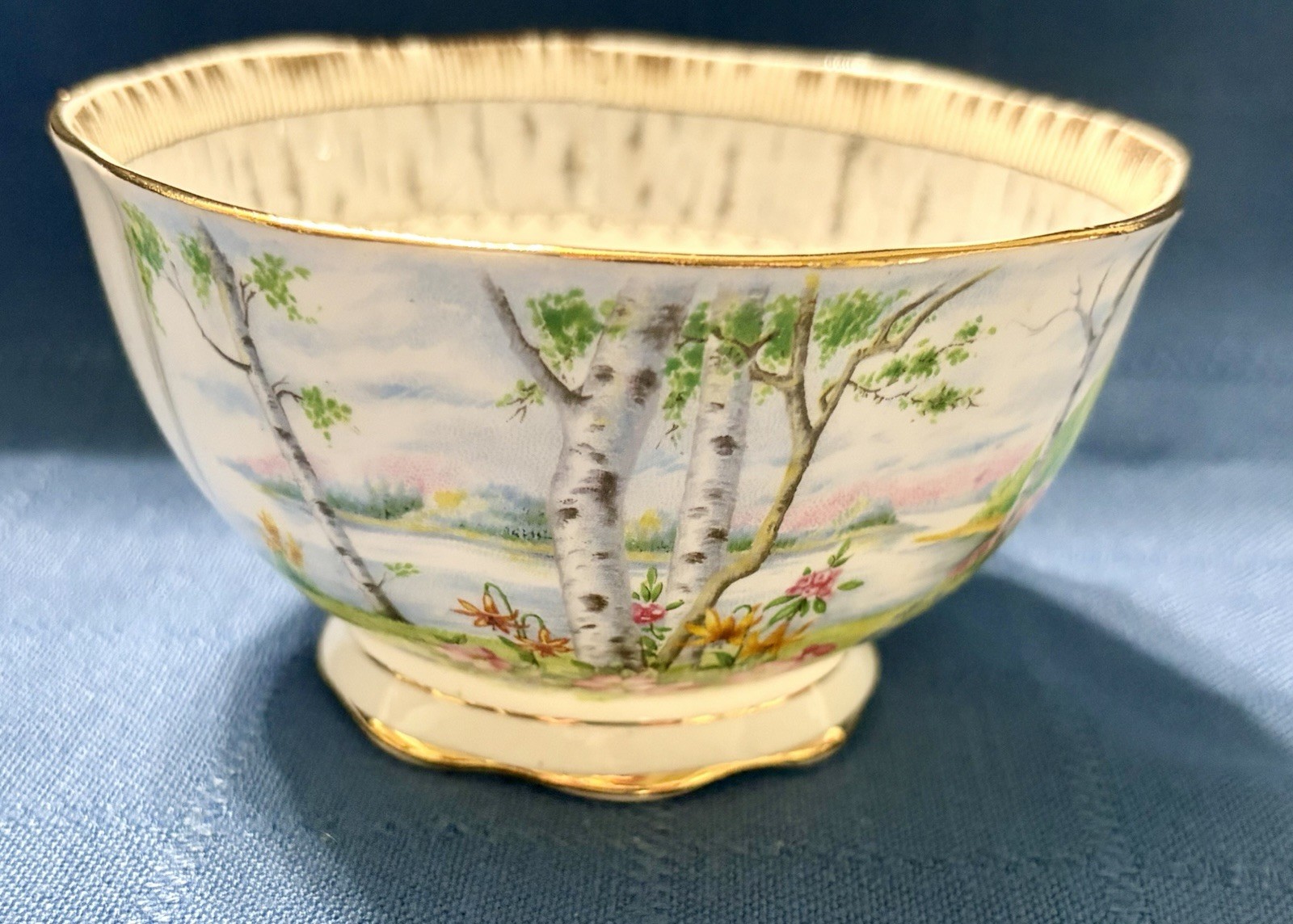 Royal Albert Silver Birch Cake Set for 6 Handled Plate C&S Cups & Saucers Plates