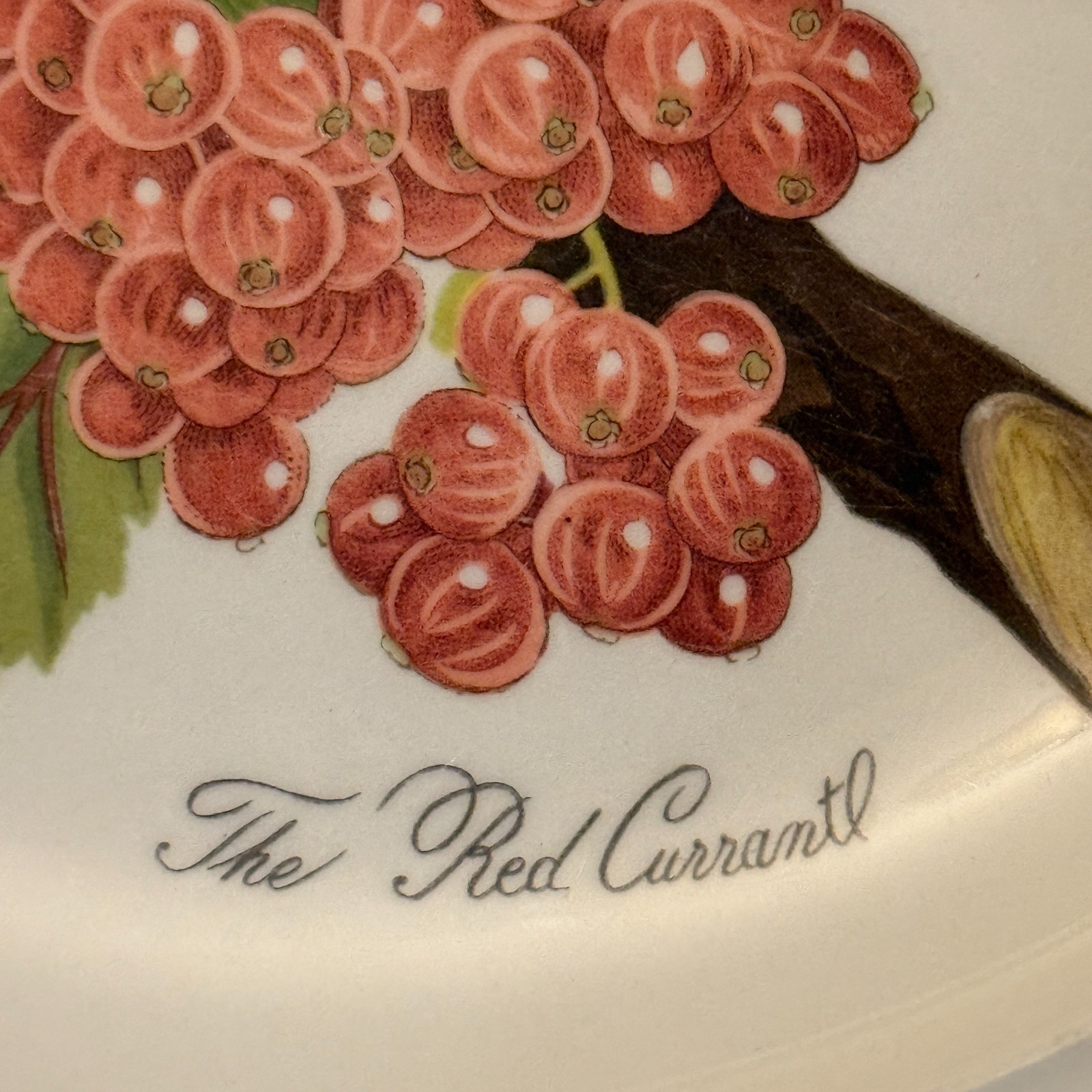 Portmeirion Pomona 2 Dinner Plates Currant & Peach 1 Salad Cherry No Border Engl