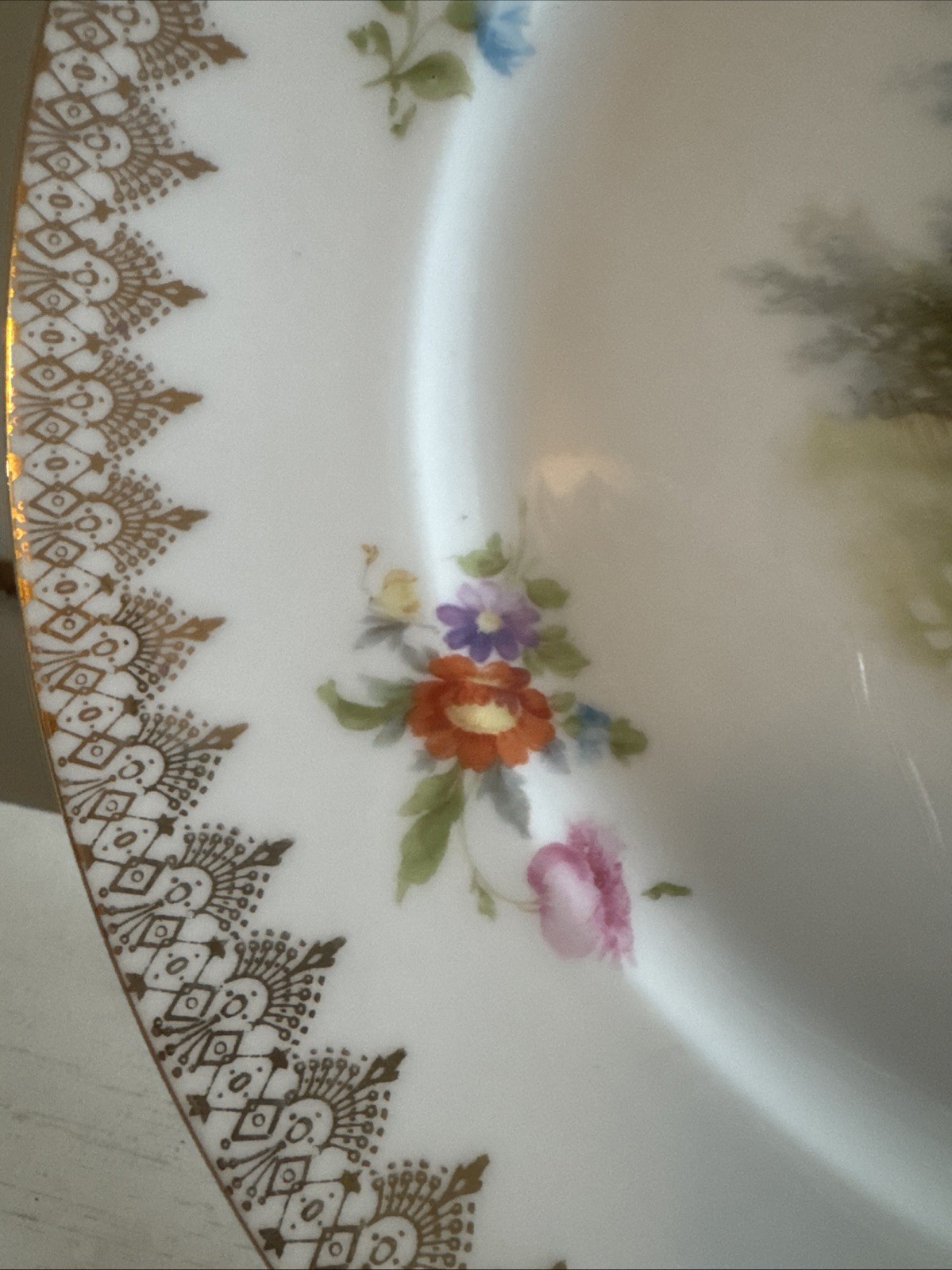 rosenthal porcelain Decorative Dinner Plates