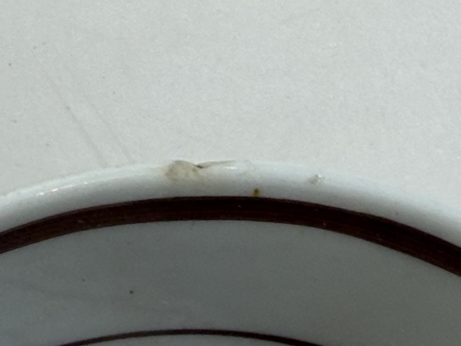 Historical Staffordshire Porcelain Cup and Saucer With View Of New York Ca. 1840