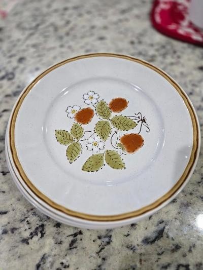 Vintage Hearthside Stoneware Berries’n Cream Dinner PLATE – 5 Plates 10.5″
