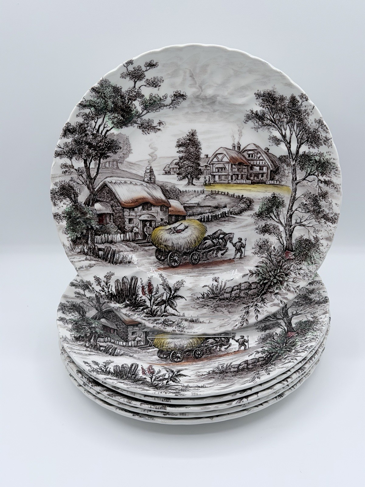 Staffordshire Ironstone Yorkshire Multicolor Dinner Plate England Set of 6