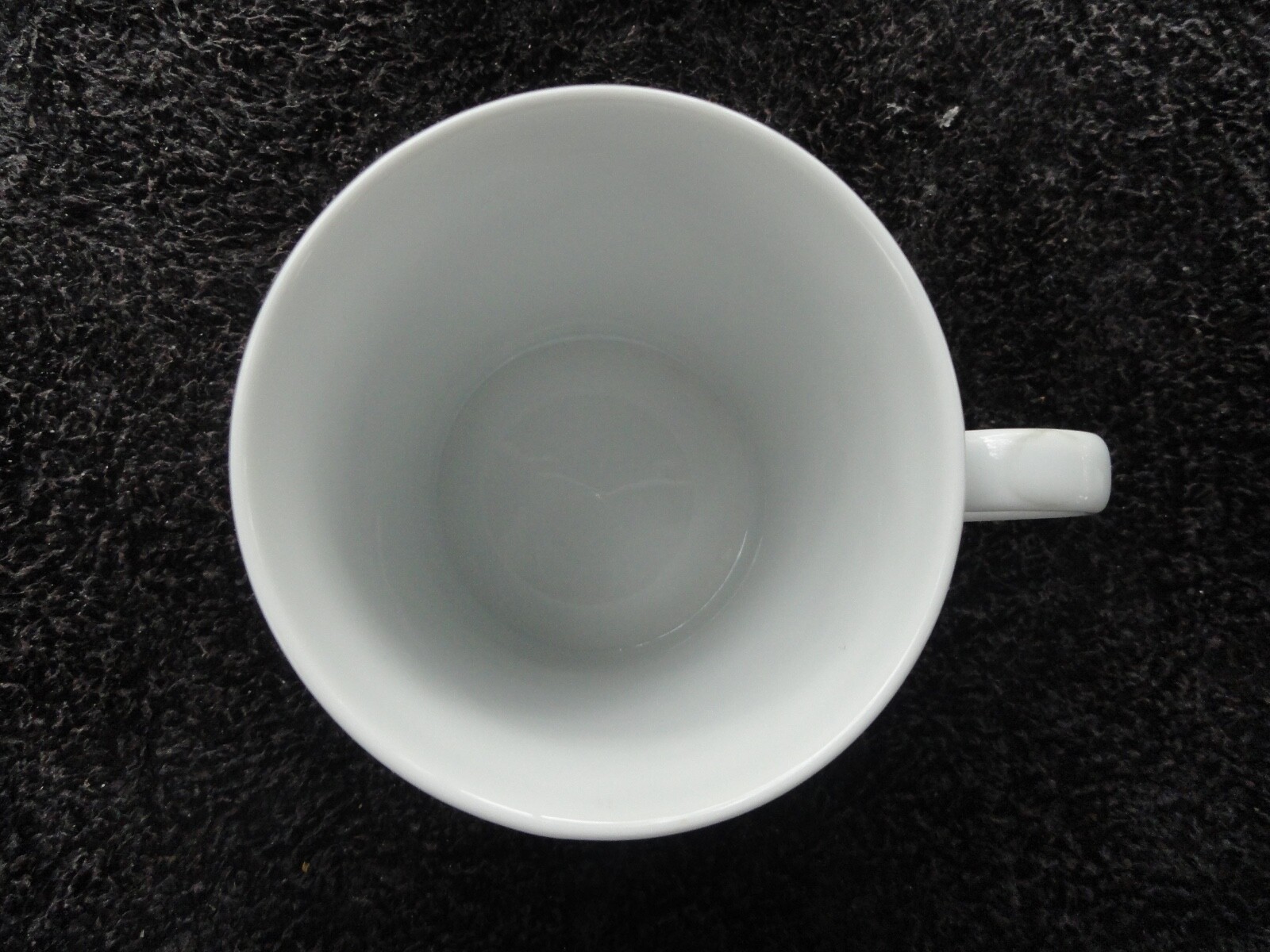 Dansk Ivy Embossed Fruit and Leaves Pure Solid All White Mug
