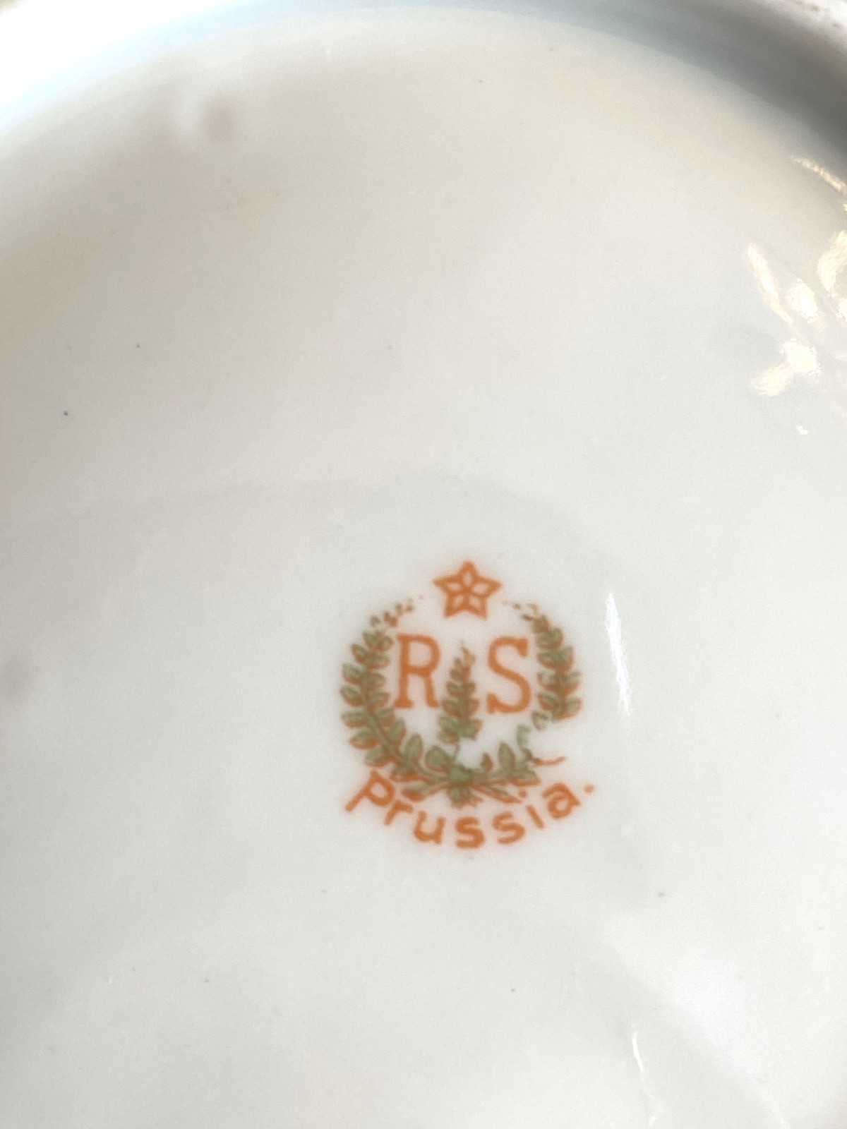 Antique RS Prussia Porcelain Serving & Berry Bowls Floral Pink Roses 7 PC Set