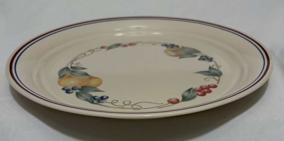 Corelle Abundance Dinner Plate 10.25” Round VINTAGE EC