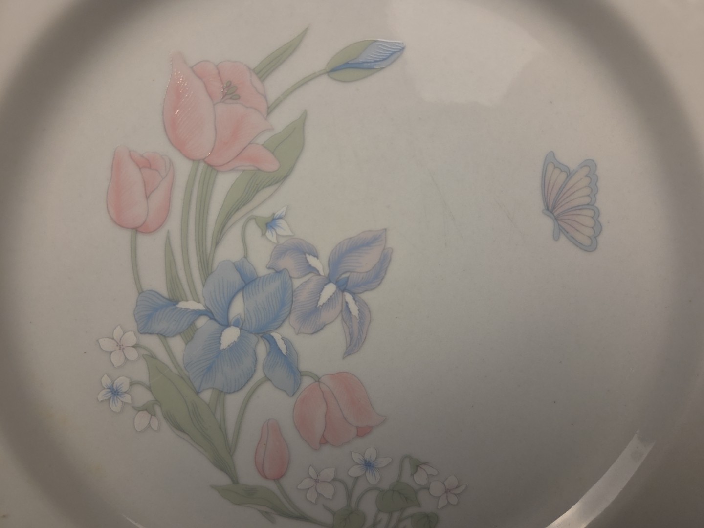 Center Stage By Excel Illusions Floral Border Center Dinner Plate 10.5″ Set of 4