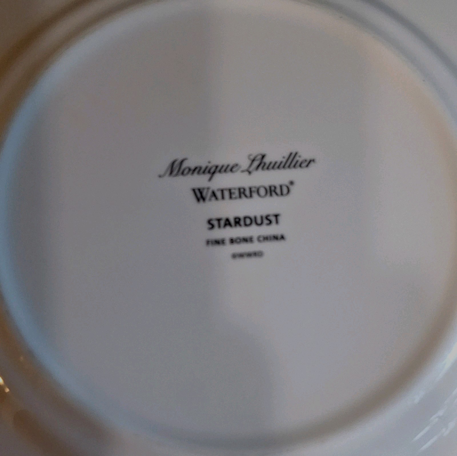 Waterford Monique Lhuillier Stardust Bone China 4 Piece Place Setting
