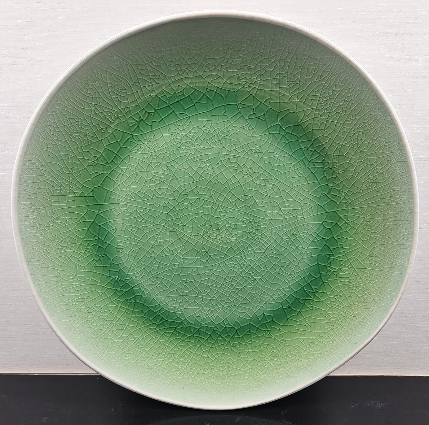 6 Roscher Crackle Glass Green Dinner Plates Set Elegant Stoneware Table Dish Lot