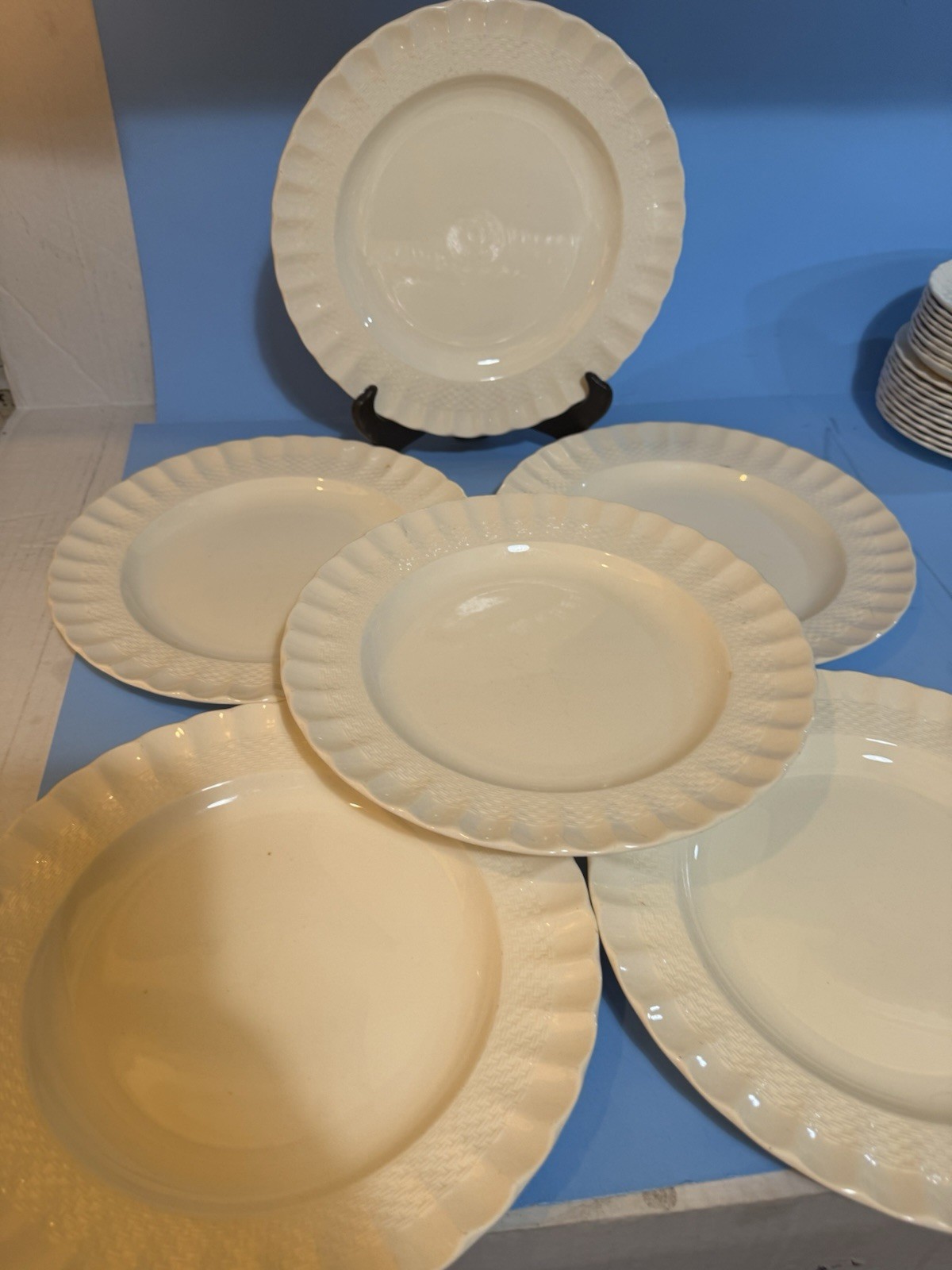 Lot 6 Spode 10.25” Dinner Plate Chelsea Wicker Scalloped England READ Cottage
