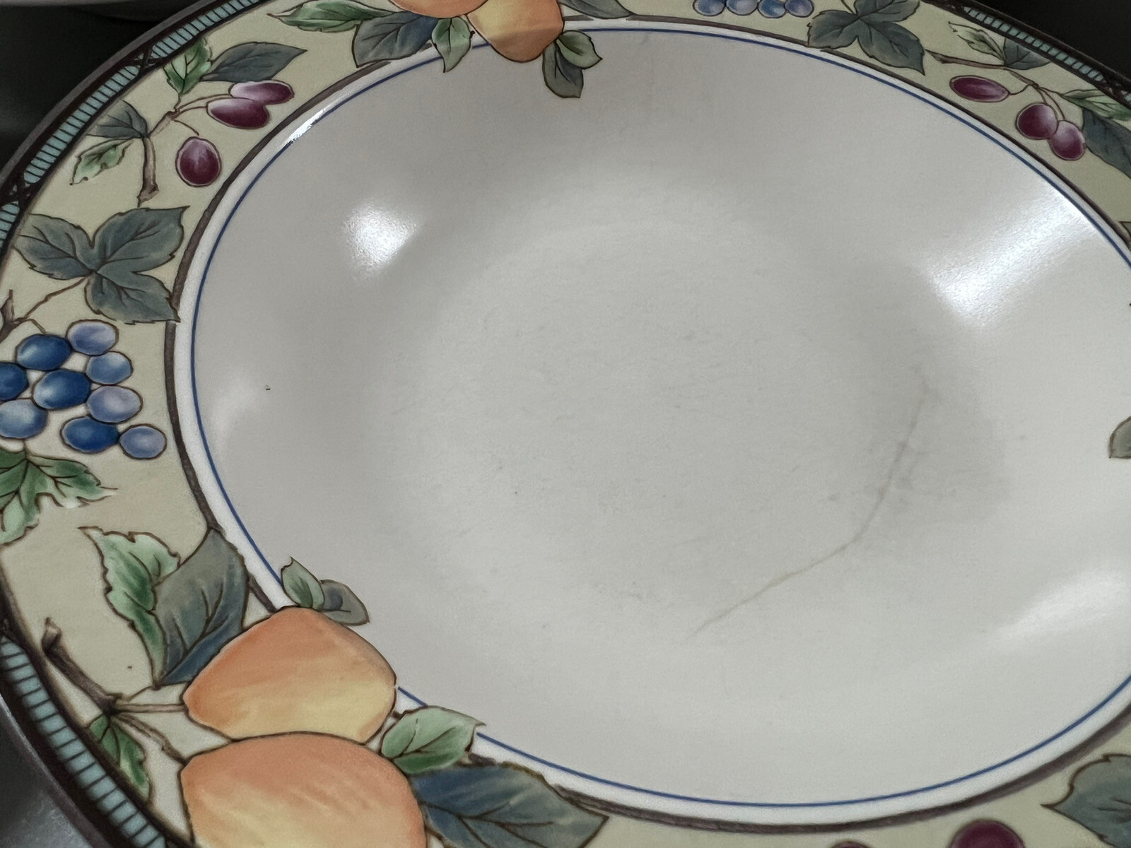 5 Mikasa Intaglio Garden Harvest Rimmed Soup Pasta Bowls 9 1/4″ Fruit and Leaves