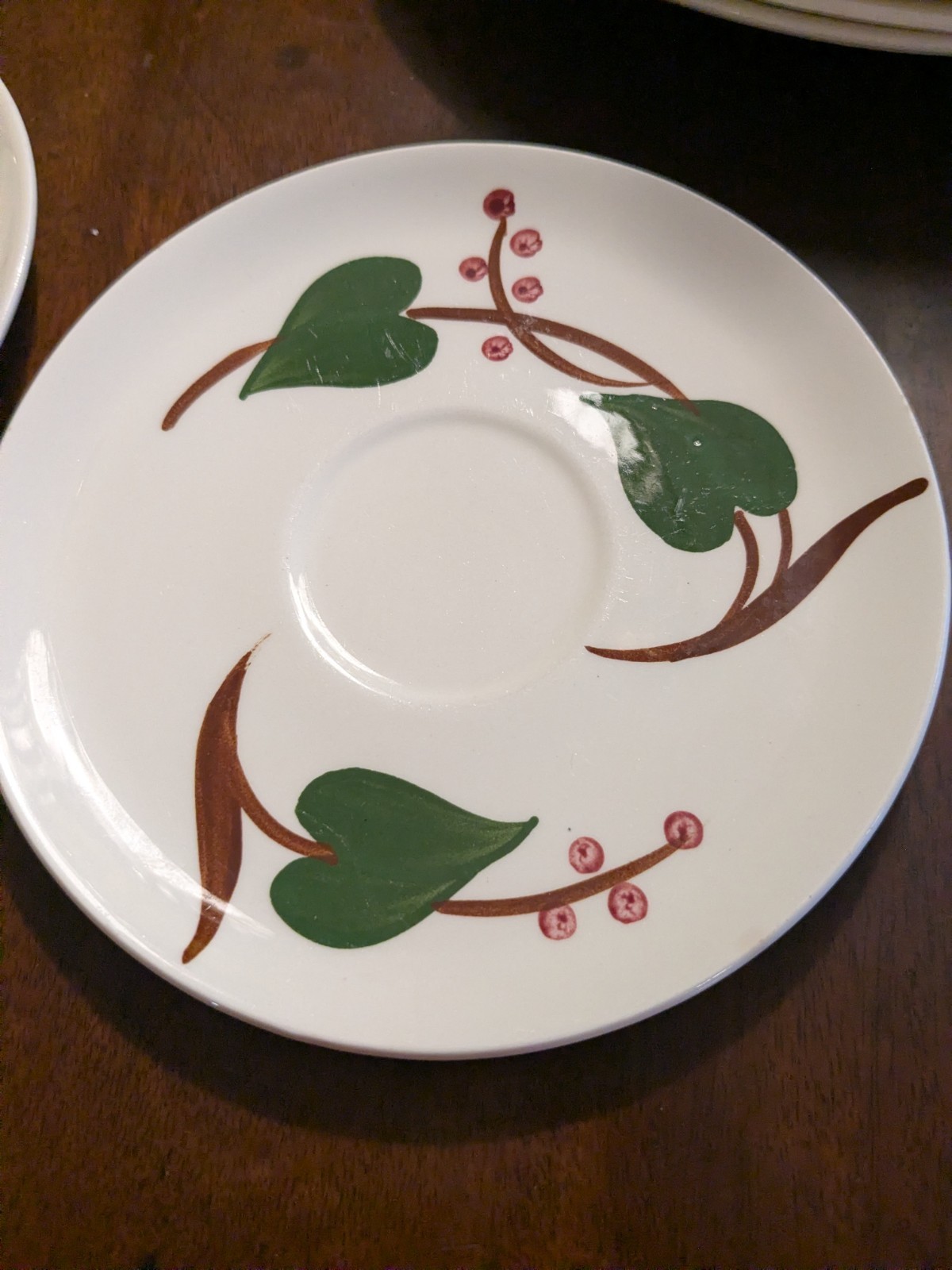 Blue Ridge Stanhome Ivy 17 Piece Set of Dishes.