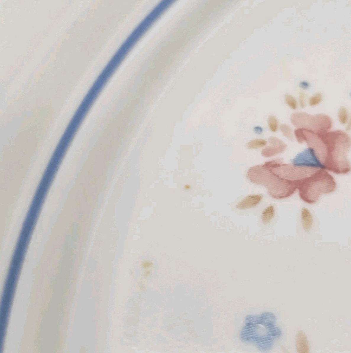 4 Vtg Corelle Country Promenade 8.5″ Retired Salad Plates Goose Cottagecore USA