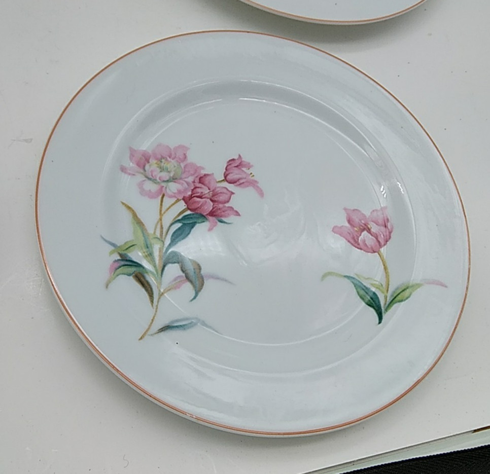 6 Noritake Pink Floral Salad or Dessert Plates White Pink Green Leaves Vintage