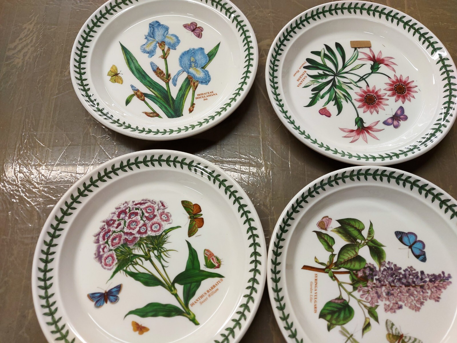 Portmeirion botanic garden set of 6 salad plates—–SD057—–ship from USA
